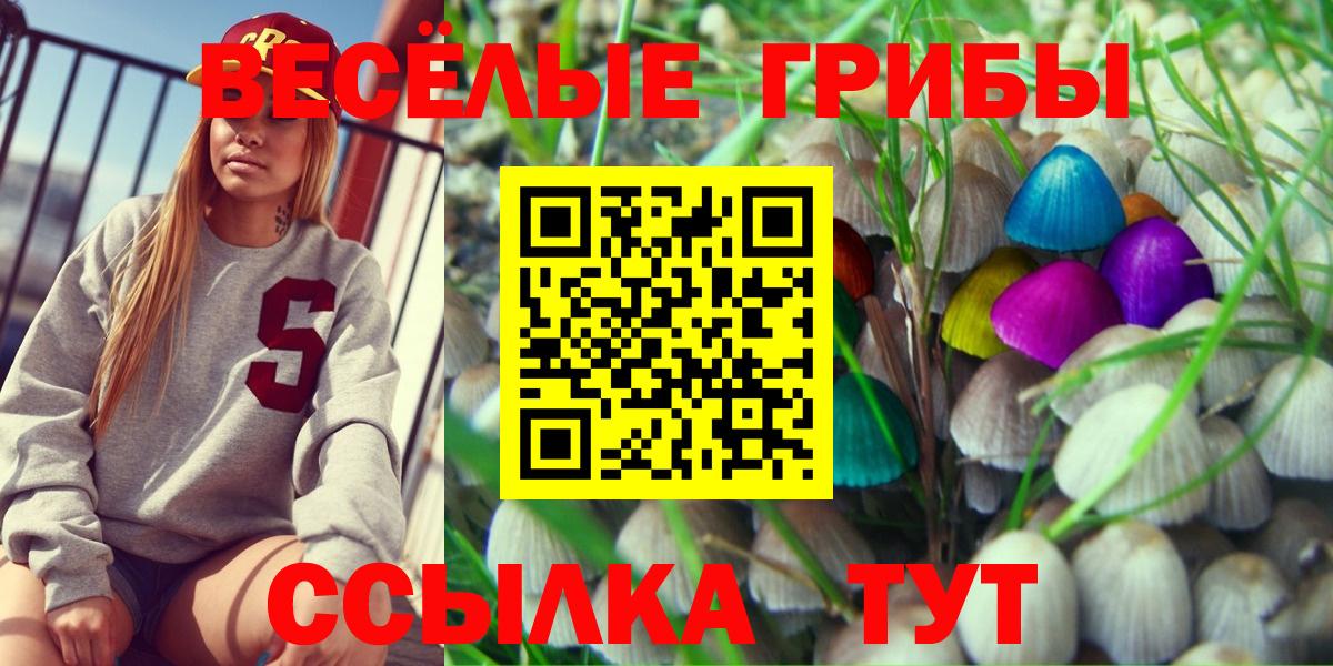 как найти закладки  Вход с VPN  Алейск  Псилоцибиновые грибы Cubensis  Галлюциногенные грибы Cubensis 